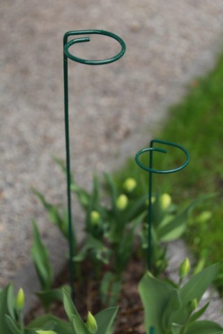 BIG PODPORA DO ROŚLIN OCZKO 110CM