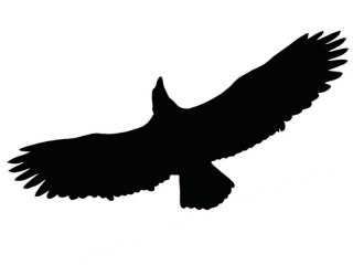 UN ODSTRASZACZ PTAKÓW - NAKLEJKA L40